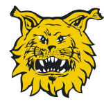 FC Ilves Beta (FI)